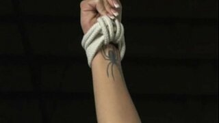 Harmonia - e Puta di Informacion - pelíkula Yen